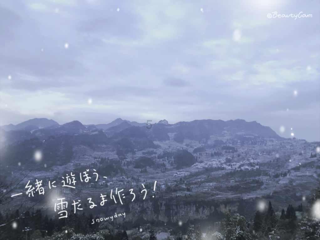 蓝色小球入袋