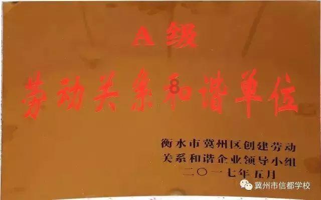 组装机械盔头龙2