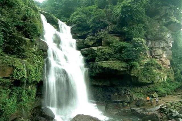 快刺水果