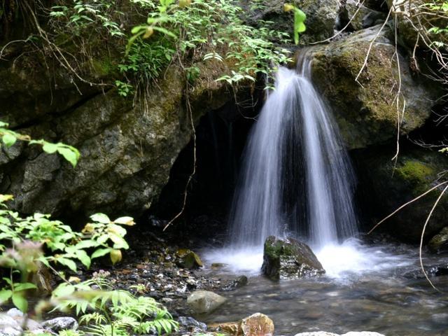 翰墨飘香 福送万家